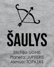 Šaulių stichija planeta Akmuo